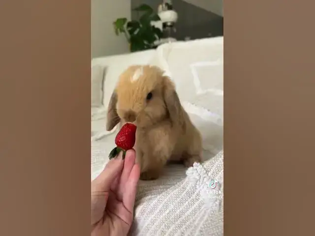 Video thumbnail for May 16, 2025