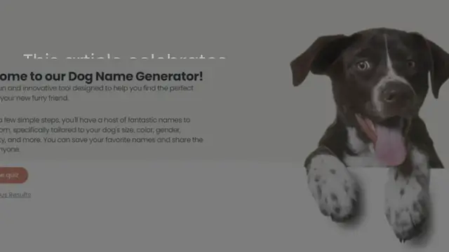 Video thumbnail for +600 Unique Girl Dog Names For The Queen of Your House