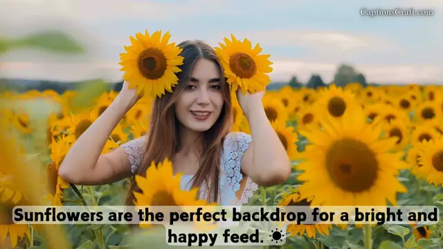 Video thumbnail for Sunflower Captions for Instagram: Discover Inspiring Quotes and Sayings for Your Sunny Photos