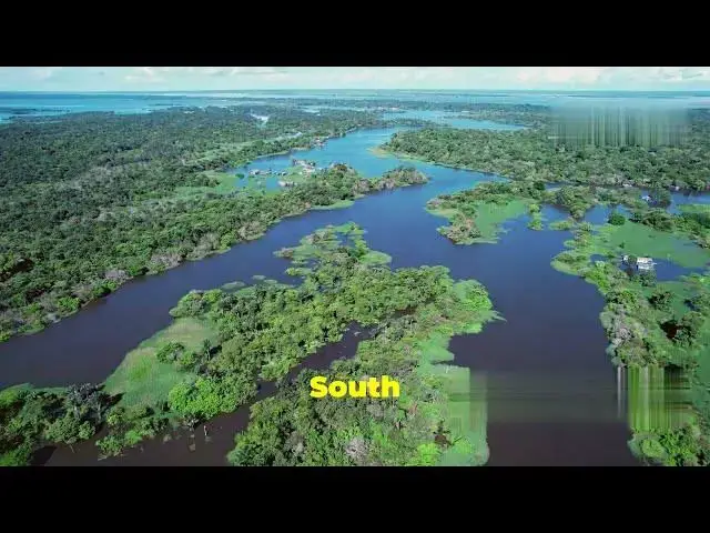 'Video thumbnail for Top 4 World's Most Unique Forest'