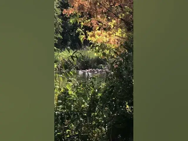 Video thumbnail for Who are there?🤔🤨😗#shorts