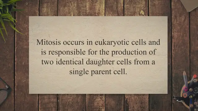 Video thumbnail for Cellular division and its phases in mitosis