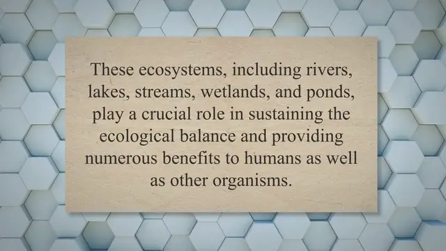 Video thumbnail for Freshwater ecosystems and their ecological significance