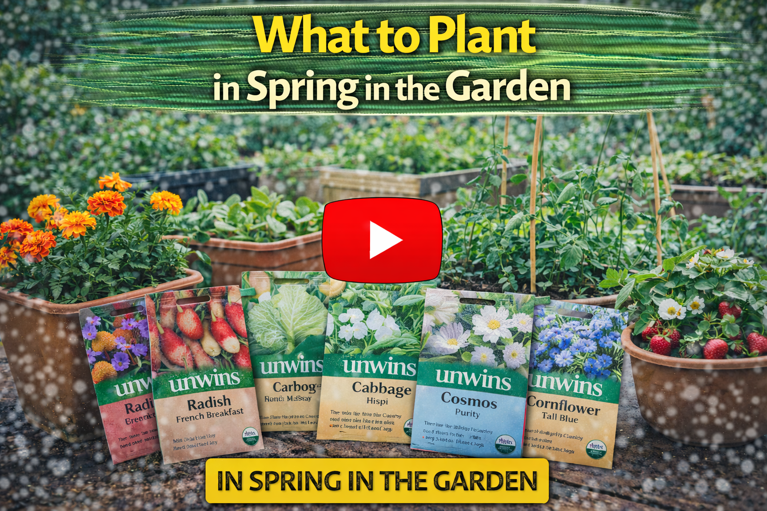 Video thumbnail for What to Plant in Spring in the Garden