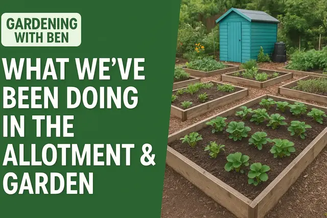 'Video thumbnail for What We've Been Doing in the Allotment & Garden | Catch-Up & Progress Update'