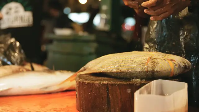 Video thumbnail for Foods & Gardan (19)