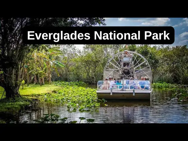 Video thumbnail for Three Days in Everglades National Park A Wild Adventure Awaits