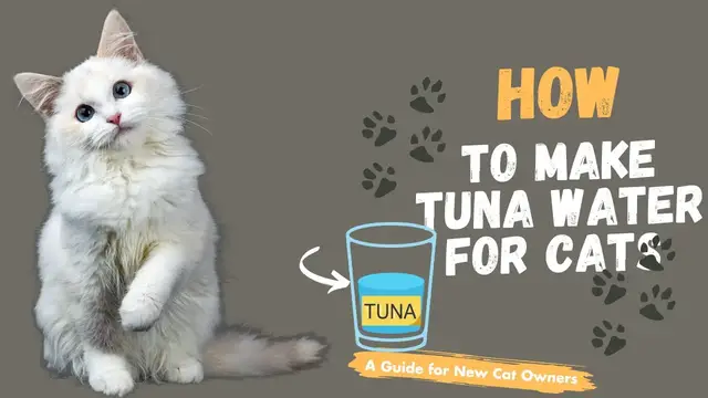 Video thumbnail for How To Make Tuna Water For Cats 7 Steps Guide