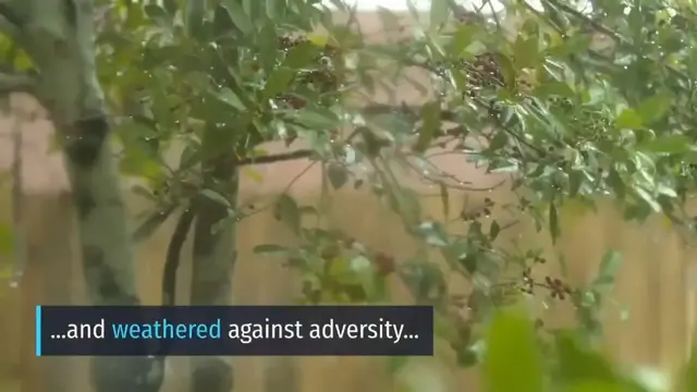 Video thumbnail for Covid situation in India  - Growth Mindset Show Covid Edition