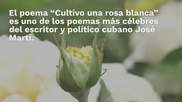 Video thumbnail for Cultivo una rosa blanca – José Martí