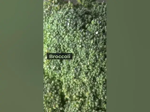 'Video thumbnail for 6 Most Nutrient-Dense Vegetables #shorts'