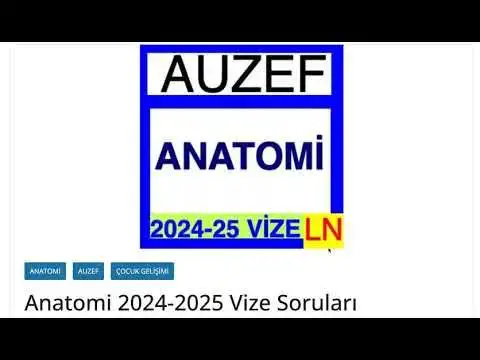 Video thumbnail for Anatomi 2024-2025 Vize SorularıEğitim Videoları