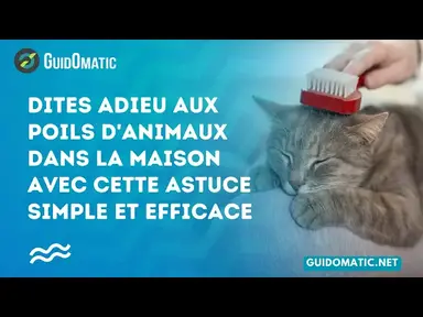 'Video thumbnail for 👉 Dites adieu aux poils d'animaux dans la maison avec cette astuce simple et efficace'