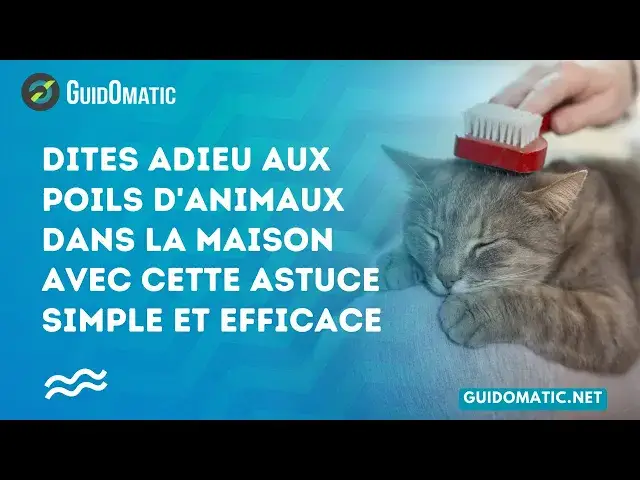 'Video thumbnail for 👉 Dites adieu aux poils d'animaux dans la maison avec cette astuce simple et efficace'