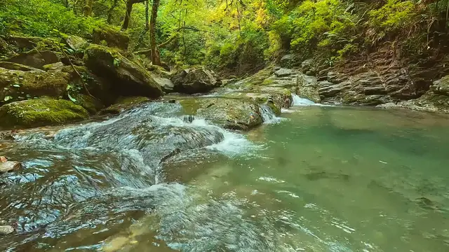'Video thumbnail for BEAUTYFULLY WATER'
