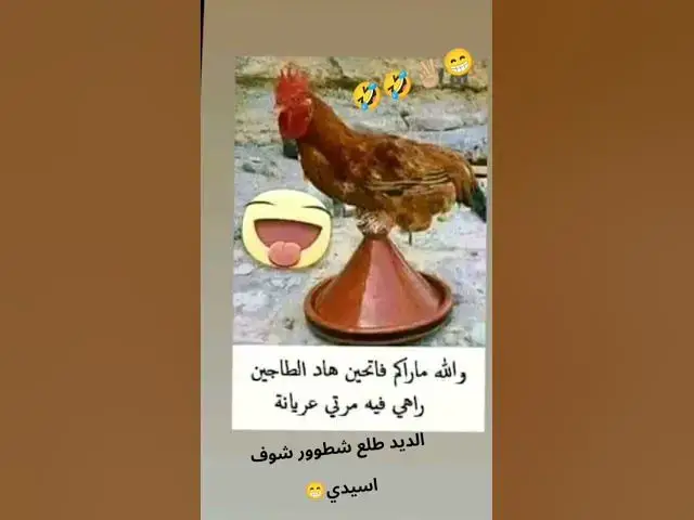 Video thumbnail for غادي تضحك صحة 😀😀😀😀😂😂😂🔥🔥👍🔥👍