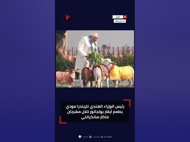 Video thumbnail for رئيس الوزراء الهندي ناريندرا مودي يطعم أبقار بونجانور خلال مهرجان ماكار سانكرانتي