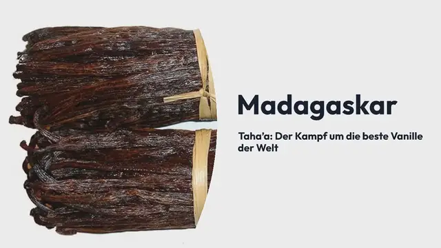 Video thumbnail for Madagaskar vs.Taha’a: Der Kampf um die beste Vanille der Welt