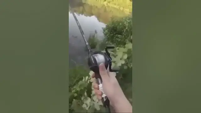 Video thumbnail for How to (not) cast a baitcaster #shorts #fail #fishing #bassfishing