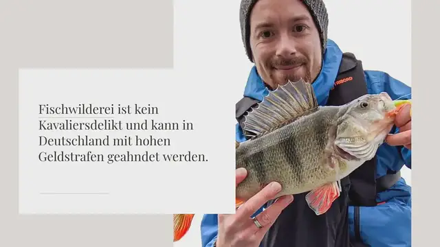 Video thumbnail for Angelmagazin Logo