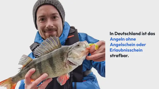 Video thumbnail for Fischwilderei: Strafen, Urteile & rechtlicher Rahmen