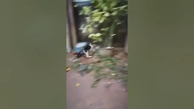 Video thumbnail for car running