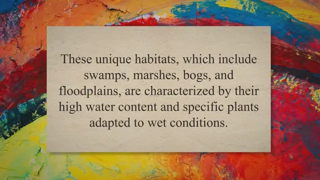 Video thumbnail for The importance of wetlands in global ecology