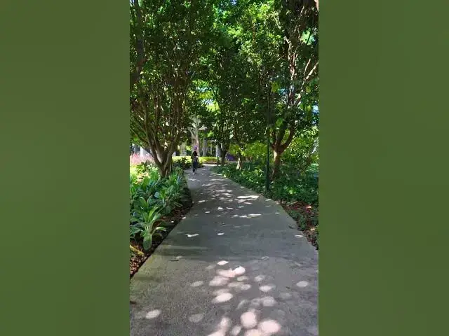 Video thumbnail for Somewhere in Singapore