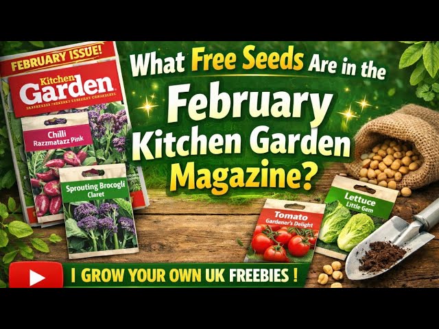 Video thumbnail for Free Seeds in Kitchen Garden Magazine (February Issue UK)
