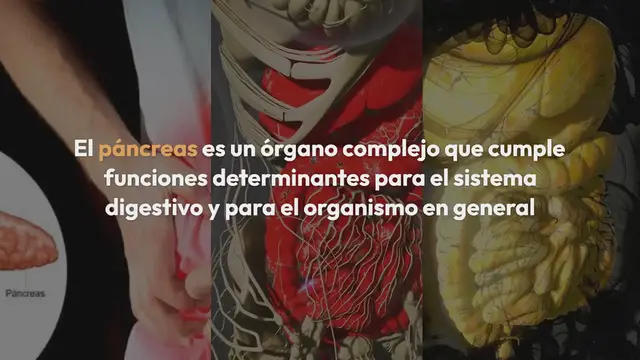 Video thumbnail for Pancreas