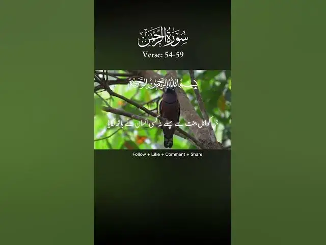'Video thumbnail for So beautiful Quran ♥️#youtubeshorts #youtube #shorts #youtuber #youtubechannel #reels'