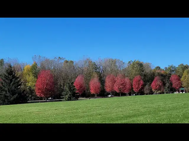 Video thumbnail for Beautiful sowing here last night it was really great I love snowing so much winds and Snowfall.!!!!