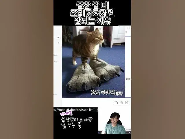 Video thumbnail for 출산 할 때 절대 가져가면 안되는 것