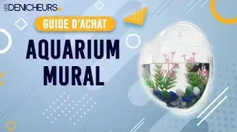 Video thumbnail for 👓 MEILLEUR AQUARIUM MURAL - Comparatif & Guide d'achat