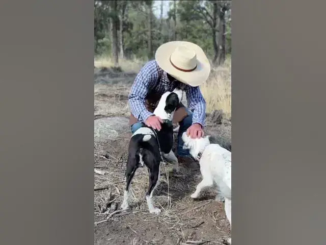 'Video thumbnail for The Must Have Items for Ranch Cooking'