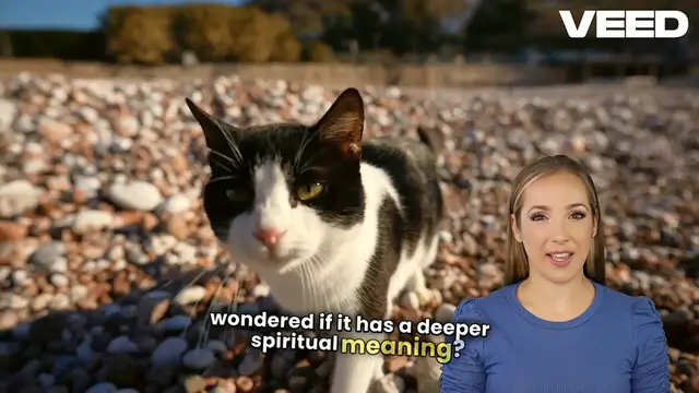 Video thumbnail for Discover 20 Biblical Meanings of Black Cats