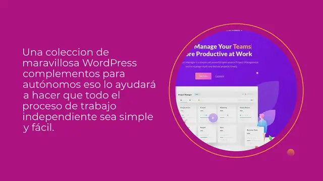 Video thumbnail for 15 Best WordPress Complementos para autónomos