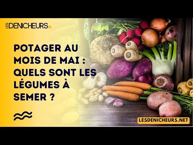 'Video thumbnail for Potager au mois de mai : quels sont les légumes à semer ?'