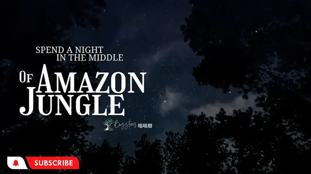 Video thumbnail for Night Safari - The Sound of Amazon Jungle - Birds , Forest Sounds