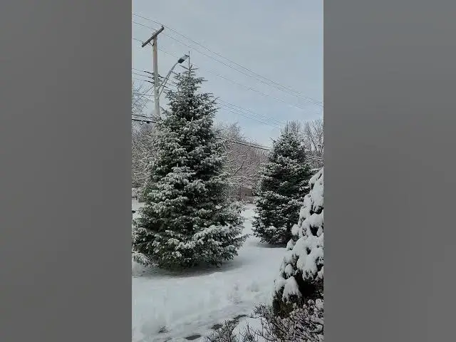 Video thumbnail for December 7, 2025