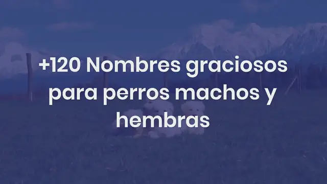 Video thumbnail for +120 Nombres graciosos para perros machos y hembras