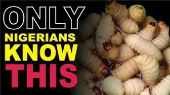 Video thumbnail for 10 Crazy Things You Don't Know About Nigerian