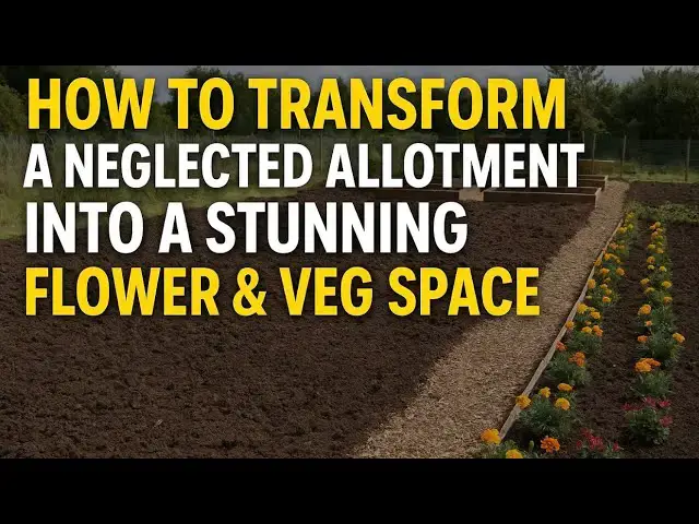 'Video thumbnail for ✅ “How to Transform a Neglected Allotment | Step-by-Step Guide to a Flower & Veg Plot'