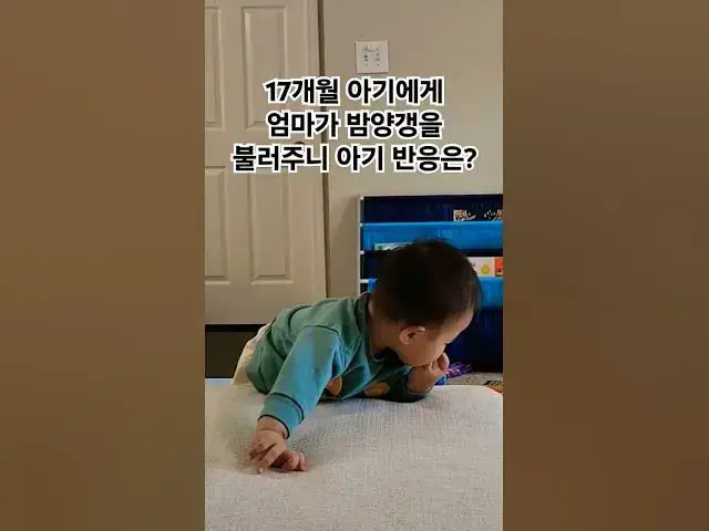 Video thumbnail for 17개월 아기가 부르는 밤양갱 코러스