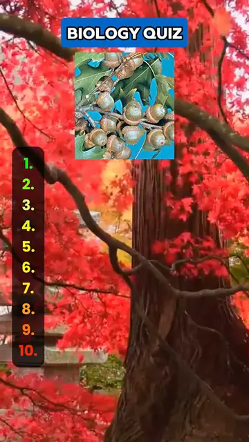 Video thumbnail for Can you name these trees  #quiz #quiztime #quizchallenge #trivia #biology