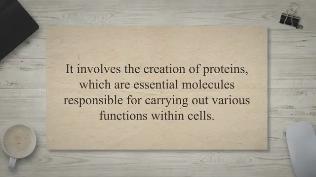 Video thumbnail for Role of ribosomes in protein synthesis