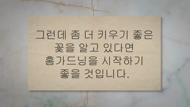 'Video thumbnail for 초보자가 키우기 쉬운 꽃 베스트 15'