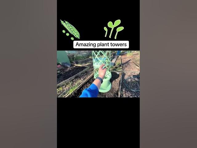 Video thumbnail for Amazing Planter Towers for Climbing Plants | Grow More in Small Spaces