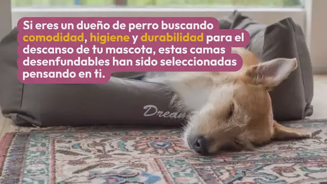 Video thumbnail for Las 10 Mejores Camas Para Perros Pequeños