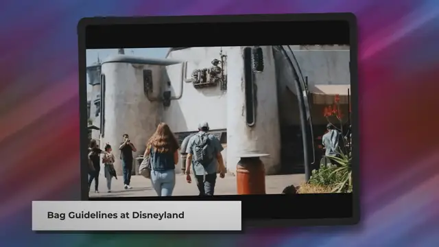 'Video thumbnail for Disneyland Bag Policy (Know Before You Go)'